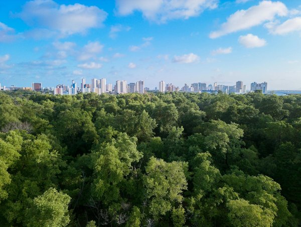 Adoptez l'économie circulaire : formation essentielle pour votre entreprise